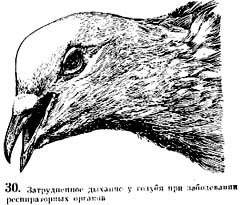лечение задержкой дыхания Пороки развития легких - причины, симптомы, диагностика и.